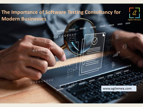 The Importance of Software Testing Consultancy for Modern Businesses.jpg