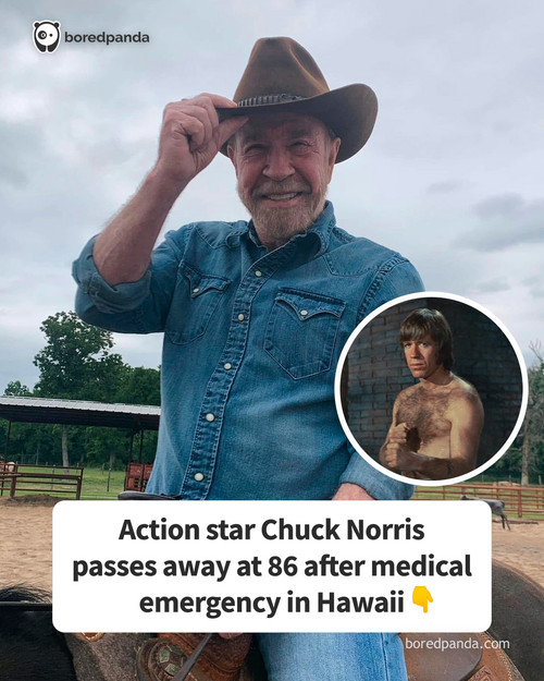 57ac69d4 e01b 48b5 bbdb 5f59fcd394a3.jpg