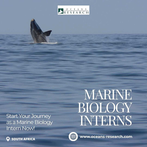 Marine Biology Interns.jpg