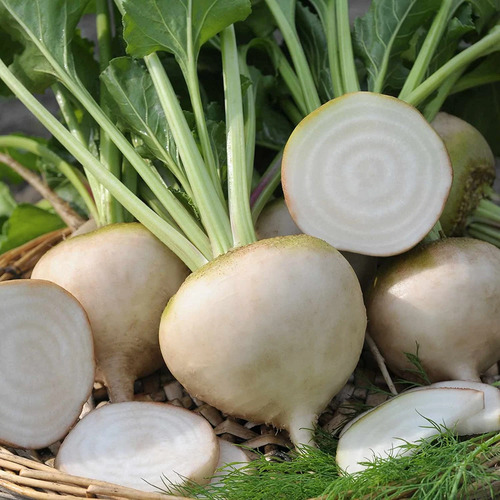 white Beetroot vegetable1.jpg