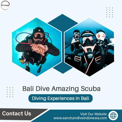 Bali Dive – Amazing Scuba Diving Experiences in Bali.jpg
