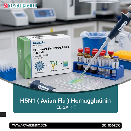 H5N1 ( Avian Flu ) Hemagglutinin ELISA Kit.png