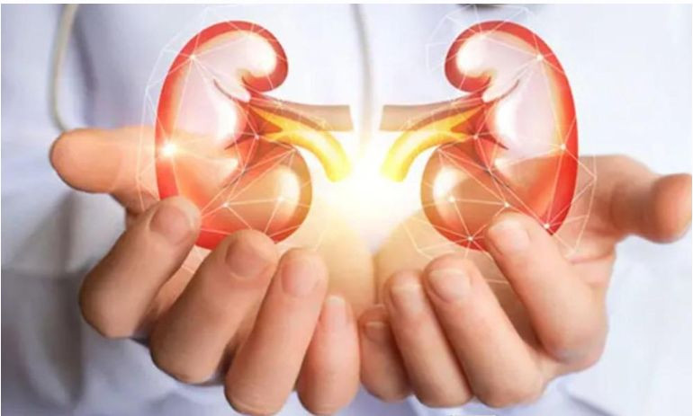 নীরব ঘাতক কিডনি রোগ: সচেতনতা ও প্রতিরোধেই নিরাপদ জীবন