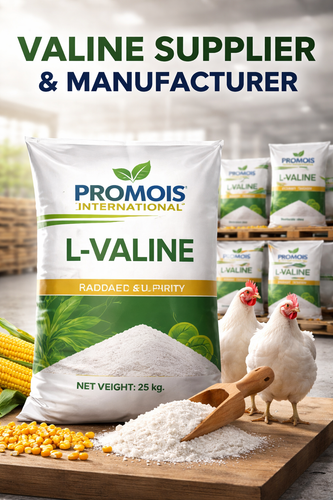 premium-valine-supplier-poultry-nutrition.png