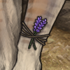 IMG 0128.png