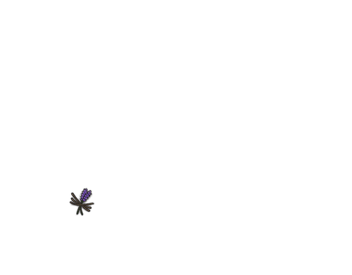 IMG 0129.png