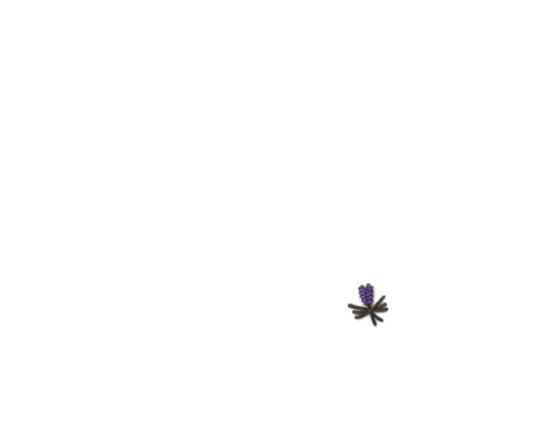 IMG 0130.png