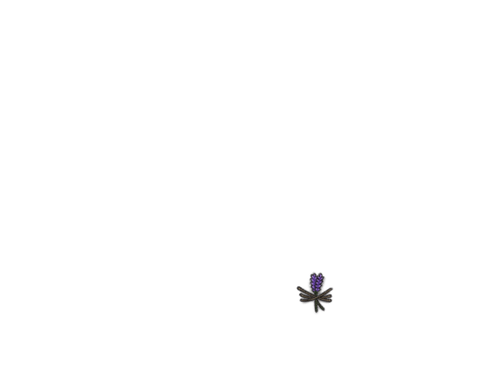 IMG 0132.png