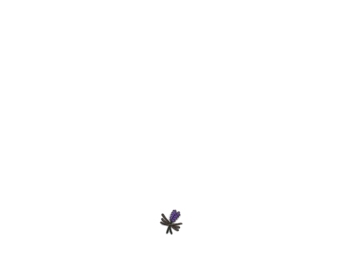 IMG 0137.png