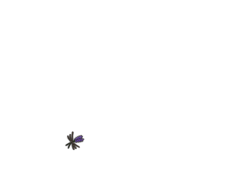 IMG 0135.png