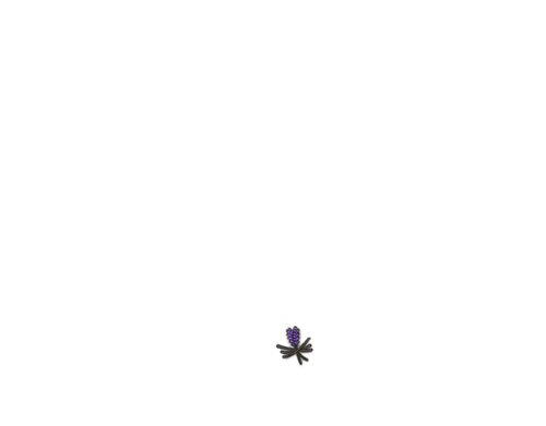 IMG 0134.png