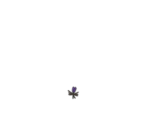 IMG 0138.png