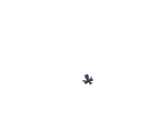 IMG 0133.png