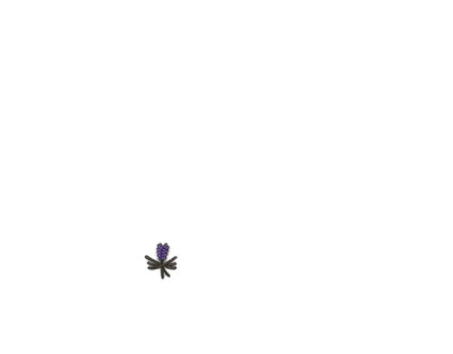 IMG 0139.png