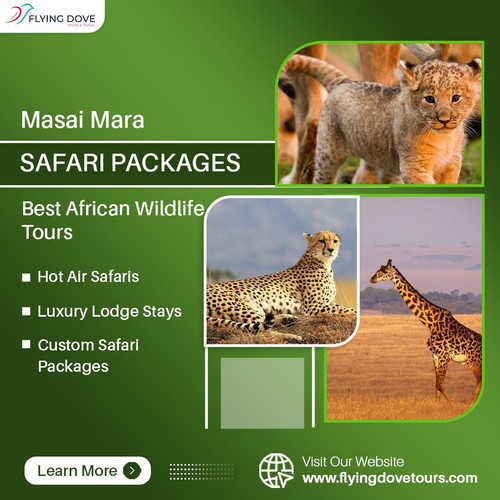 Masai Mara Safari Packages – Best African Wildlife Tours.jpg