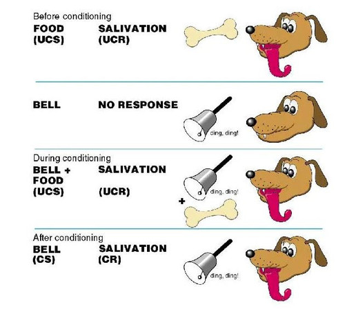 pavlov.jpg