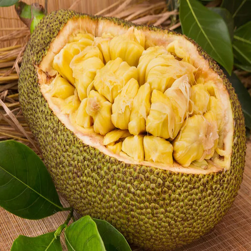 jackfruit1.jpg