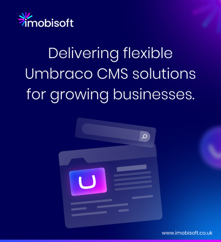 Flexible Umbraco CMS Solutions for modern business growth..jpg