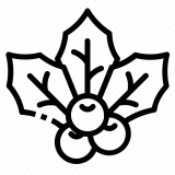 mistletoe christmas holiday festival winter 512