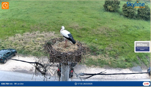 MWSnap653.jpg