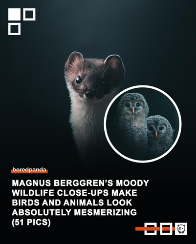 Community Share 24 March.jpg