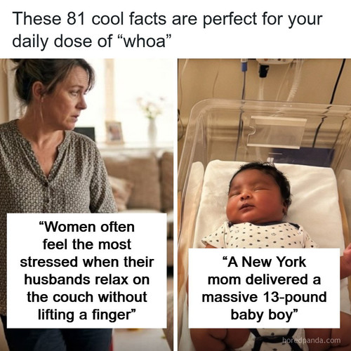 interesting facts.jpg