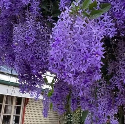 61Ah73dhwVL. AC UF1000,1000 QL80.jpg