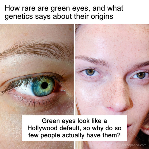 Green eyes.jpg