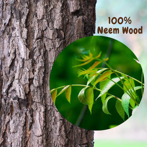 91h +PYZkIL. SL1500 .jpg