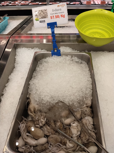 IMG 20251022 192552.jpg