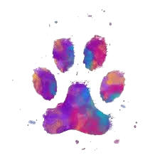 paw.png