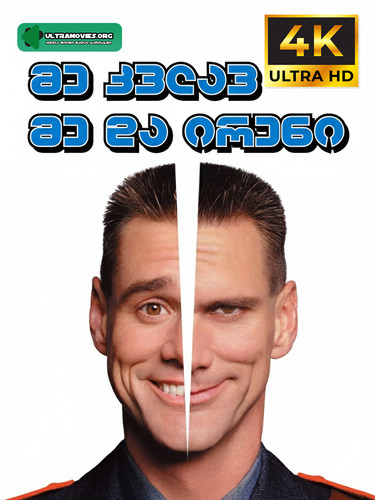 Me Myself & Irene cover.jpg