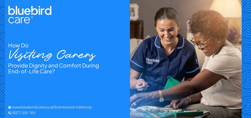 How Do Visiting Carers Provide Dignity and Comfort During End-of-Life Care?.jpg