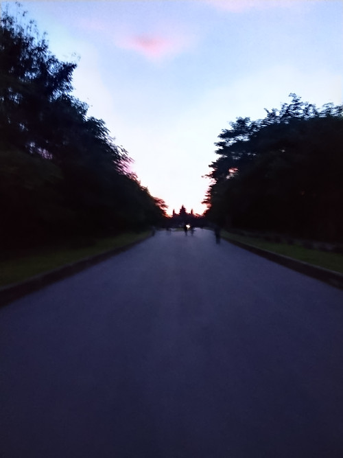 IMG 20251022 053914.jpg