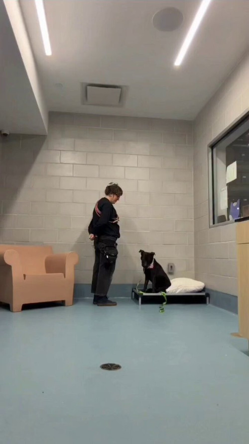 AEI KoIBBwrzWCkN.jpg