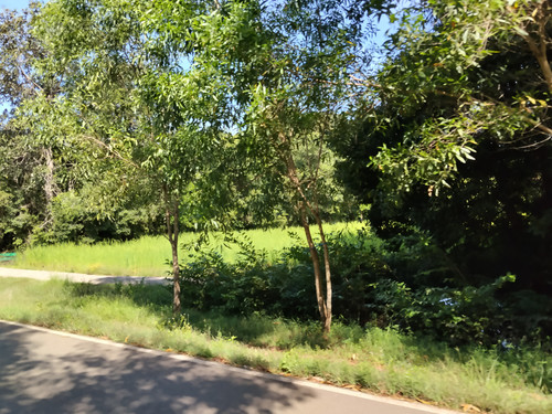 IMG 20251022 091043.jpg