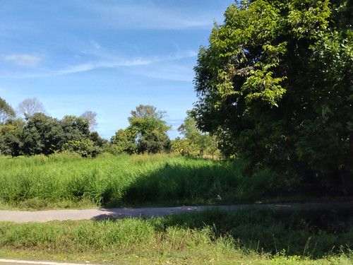 IMG 20251022 091037.jpg