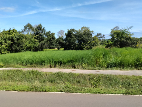 IMG 20251022 091034.jpg