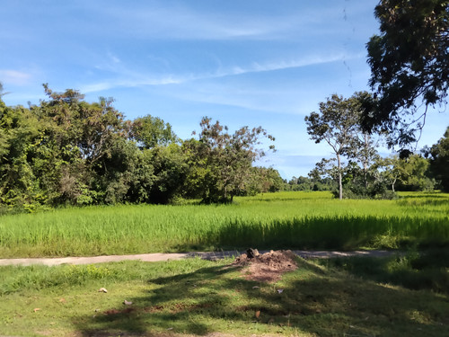 IMG 20251022 091057.jpg