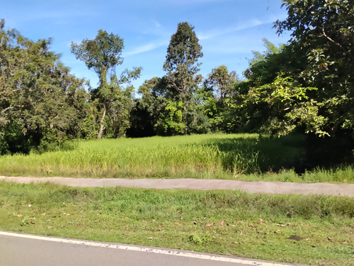 IMG 20251022 091053.jpg