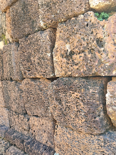 IMG 20251022 091830.jpg