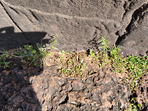 IMG 20251022 092142.jpg