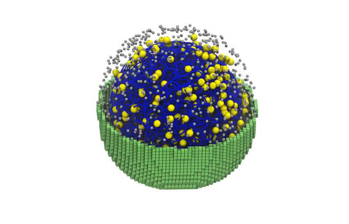 C 3EIH4 AcN2FXE9.jpg