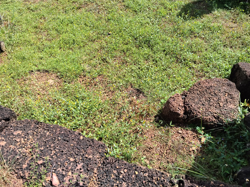 IMG 20251022 093759.jpg