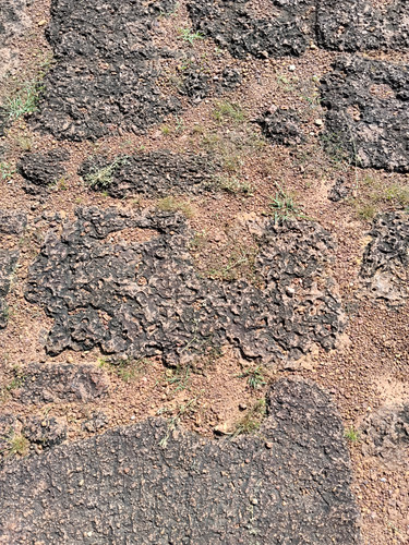 IMG 20251022 093704.jpg