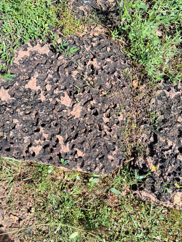 IMG 20251022 093858.jpg