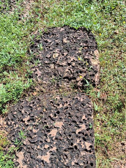 IMG 20251022 093901.jpg