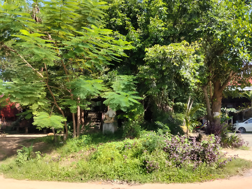 IMG 20251022 090818.jpg