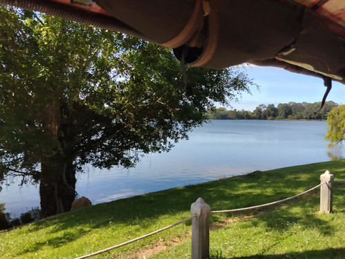 IMG 20251022 090905.jpg