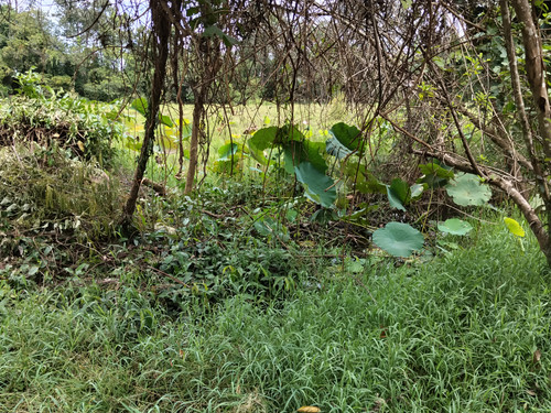 IMG 20251022 110103.jpg